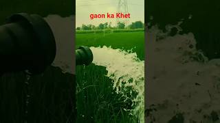 gaon ka Khet || desi Balak || farming life || #shorts #shortsfeed #trending #desi #farming #gaon