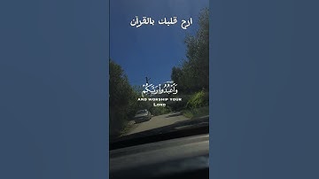 تلاوة عطرة لآيات من كتاب الله #القرآن_الكريم #القرآن #الله #اكسبلور #foryou #راحة_نفسية #viral