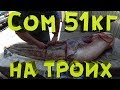 Речной монстр. Сом 51кг. Лучшая разделка на 3 части. River monster - catfish