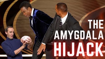 Why we turn into raging idiots | The Amygdala Hijack explained