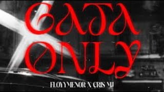 FloyyMenor FT Cris MJ - GATA ONLY ( Video Official ) | EL COMIENZO