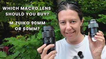 Which macro lens should you buy? M.Zuiko 60mm or the 90mm macro?
