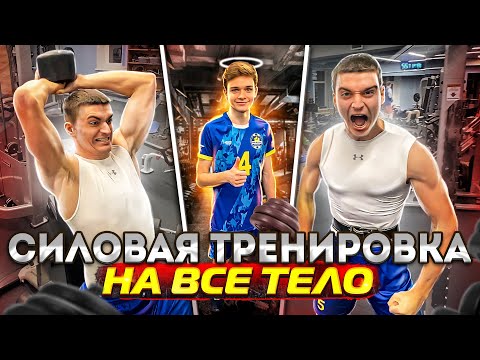 Силовая тренировка на все тело!