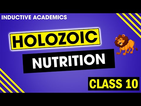 Video: Vad är holozoiska organismer?