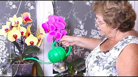 ОРХИДЕИ БУДУТ ЦВЕСТИ КАК БЕШЕНЫЕ - ДЕЛАЙТЕ КАК Я