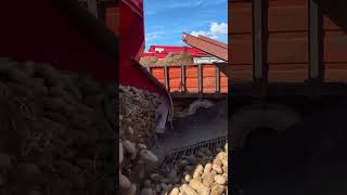 Life on the farm episode 53