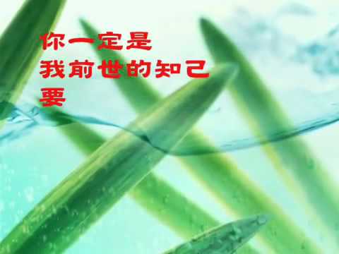 你是我前世的知己.wmv