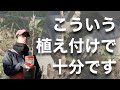 【難しいことしない】さくらんぼの苗木の植え付け方 -初心者向け-