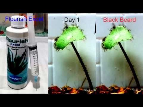 seachem flourish liquid fertilizers