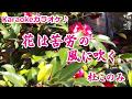 杜このみ【花は苦労の風に吹く】カラオケ ’19/3/6発売 新曲