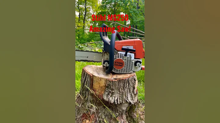 Stihl MS250 #stihl #chainsaw #youtubeshorts #shorts #trees #clearing