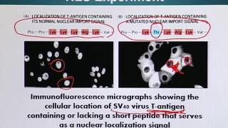 BIO734_Topic095
