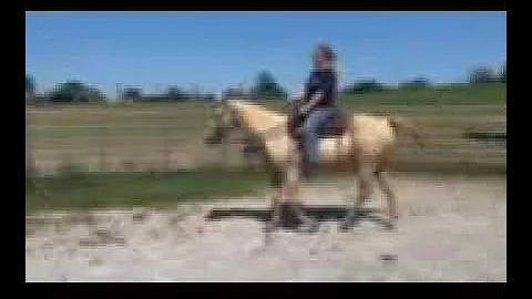 kojacks first ride in 3 months.