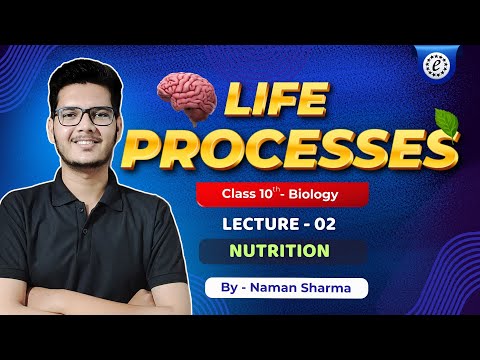 Life Processes Class 10 | Lecture 02 - Nutrition | CBSE GSEB | Excel Institute Foundation