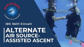 PADI IDC Skill Circuit: Alternate Air Source Assisted Ascent (Revised Instructor Development Course)