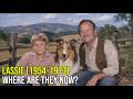Lassie (1954–1973): Where Are They Now? — 71 Years Later