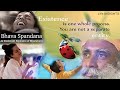 Experience self realization  the bhava spandana program