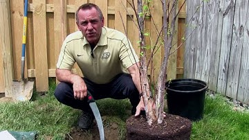 Tree Planting Part 2: Planting a Tree, FNR-540-WV