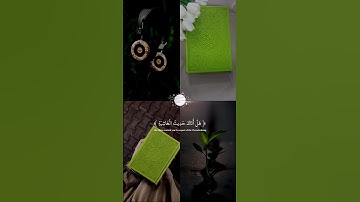 𝑸𝒖𝒓𝒂𝒏♡أكتب شيء تؤجر عليه|#عبدالرحمن_مسعد#راحة_نفسية#سورة الغاشیە#viral#trending🦋💚