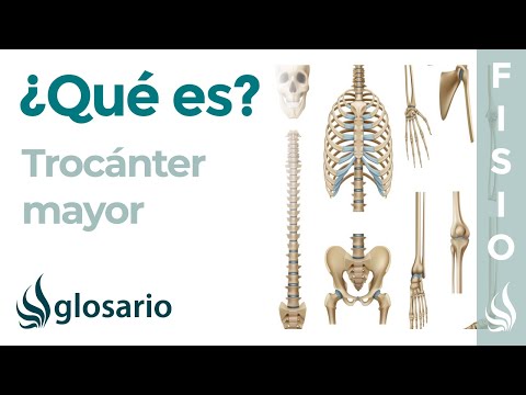 Video: ¿Dónde está el trocánter?