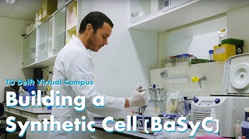 TU Delft - Make your own synthetic cells at BaSyC!