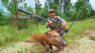 Caza De Puerco Salvaje |  Mi Primera Tiro A La Cabeza