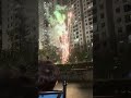 New Year 2026
