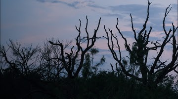 MW3 Solo Survival Seatown w Traps