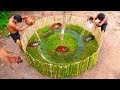 Find Turtle In The Forest And Build Swimming Pool For Turtles