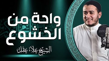 صوت يرفع الأرواح | تلاوة تُحيي الأمل | القارئ علاء عقل