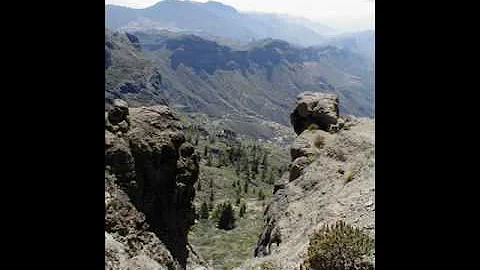 Attuned Translations - Translators and Voiceover Artists