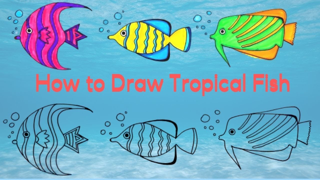 How to Draw a Tropical Fish - Really Easy Drawing Tutorial