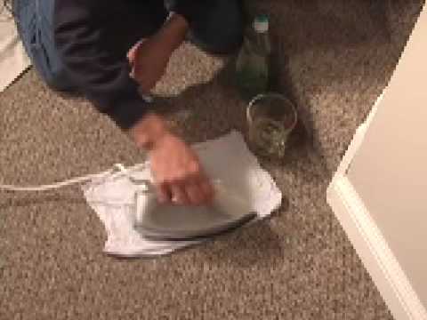 Carpet Cleaning Tips and Tricks You ...