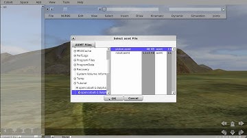 How To Download And Load ASMT Models