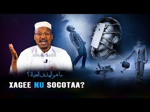 Muxaadaro Nolashaada Badali Doonta 100 Maxaad U Nooshahay Sheekh Mustafe Eegmada