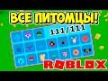 ВЫБИЛ ВСЕХ ПИТОМЦЕВ В СИМУЛЯТОРЕ РАСПАКОВКИ РОБЛОКС! ALL PETS UNBOXING SIMULATOR ROBLOX