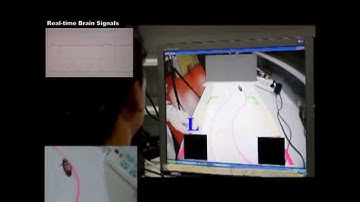 RAS SAC Video Contest Submission:Cyborg Cockroach Remotely Controlled by Human Brain