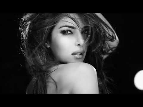 هاني شاكر إنسي  