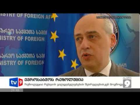 ახალი 9 | ევროსაბჭოს რეზოლუცია | 24.01.13