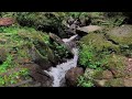 River Water Sounds for Sleeping, River Sounds for Relaxation, Water Sounds for Stress Relief