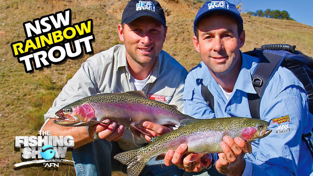 NSW Rainbows! Northern Trout YouTube