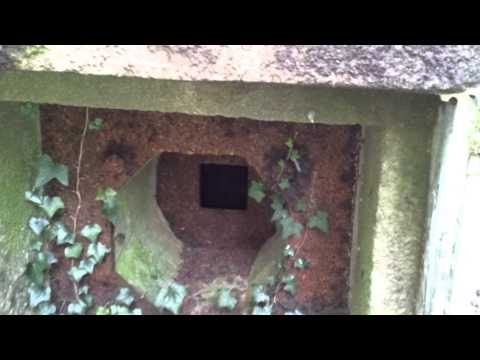 Bunker Maginot Linie