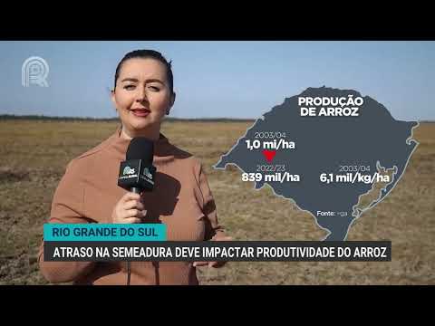 Rio Grande do Sul: atraso na semeadura deve impactar produtividade do arroz | Canal Rural