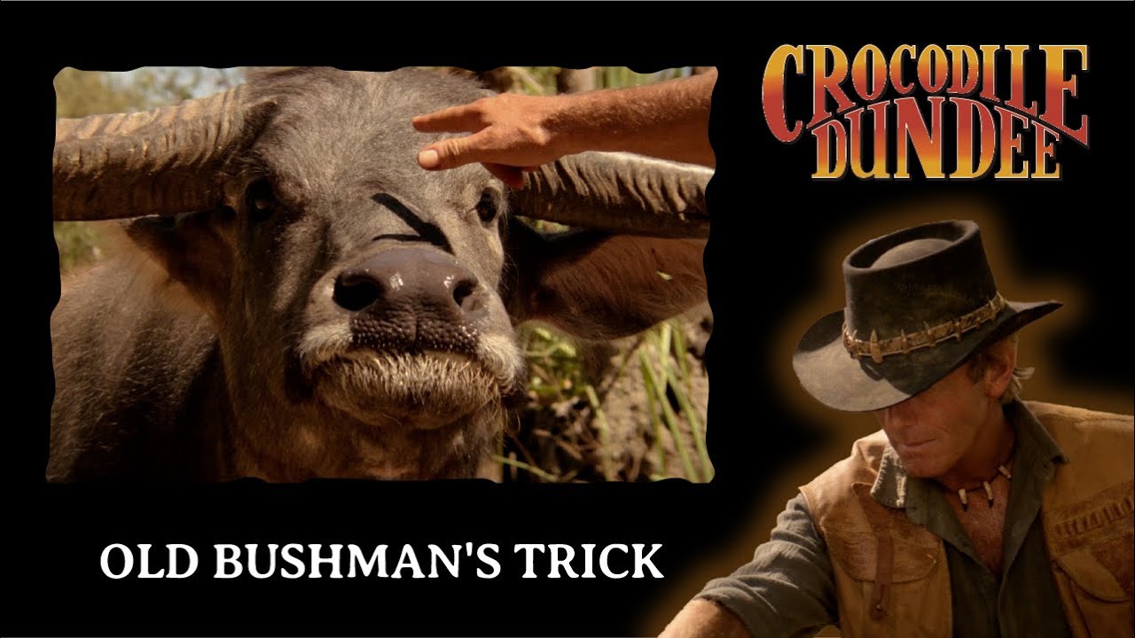 Old Bushman's Trick - Crocodile Dundee