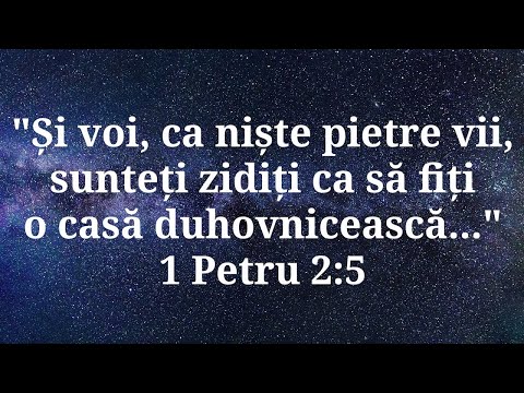 Video: „Pietre Vii”