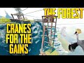 Ultimate Guide to Cranes in The Forest