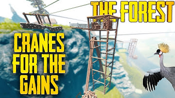 Ultimate Guide to Cranes in The Forest