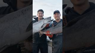 Wild Alaskan King Salmon Crudo