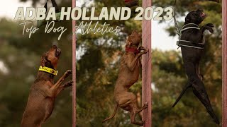 ADBA Holland 2023 - Top Dog Athletics (TDA): Mill Race, Lure Sprint & Wall Climb w/ APBT