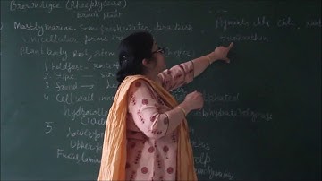 Bio-XI-3-04 Brown Algae, By Sunanda Ahuja,  Pradeep Kshetrapal channel